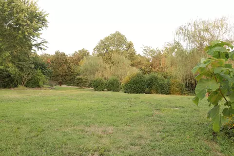 Exterior - 3627 County Road 542, Ava, MO 65608 photo 25 of 26