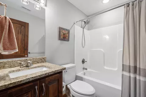 Bath - 190 Cedar Brooke Estates Dr, Forsyth, MO 65653 photo 3 of 3