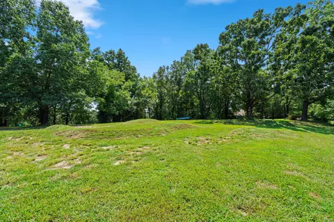 Exterior - 190 Cedar Brooke Estates Dr, Forsyth, MO 65653 photo 8 of 8