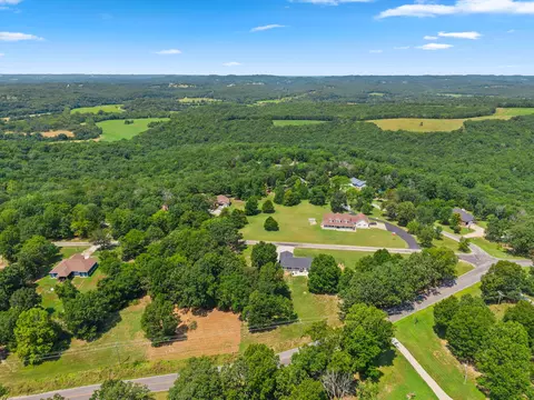 View/Area - 190 Cedar Brooke Estates Dr, Forsyth, MO 65653 photo 4 of 6
