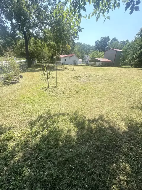 Exterior - 54 Tiny Pine Ln, Galena, MO 65656 photo 6 of 12