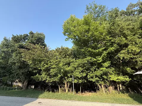 000 Skyview Dr, Branson, MO 65616 photo 2