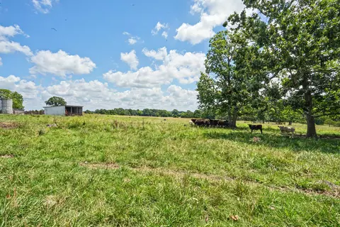 Exterior - 1114 Vermule Rd, Billings, MO 65610 photo 3 of 21