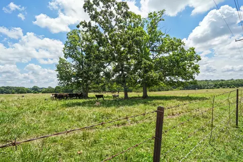 Other - 1114 Vermule Rd, Billings, MO 65610 photo 7 of 13
