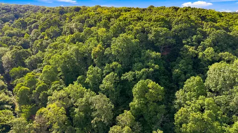 View/Area - 24709 Wolfe Rd, Washburn, MO 65772 photo 2 of 2