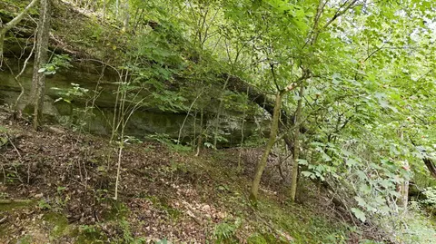 Other - 24709 Wolfe Rd, Washburn, MO 65772 photo 12 of 14