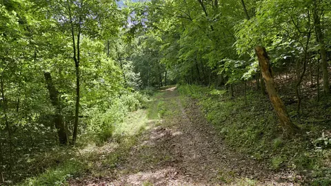 Other - 24709 Wolfe Rd, Washburn, MO 65772 photo 14 of 14