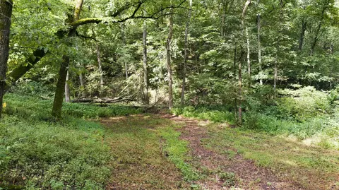 Exterior - 24709 Wolfe Rd, Washburn, MO 65772 photo 14 of 22