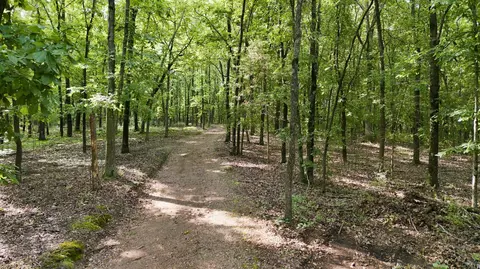 Other - 24709 Wolfe Rd, Washburn, MO 65772 photo 8 of 14