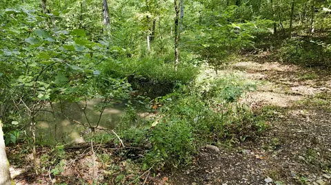 Other - 24709 Wolfe Rd, Washburn, MO 65772 photo 11 of 14