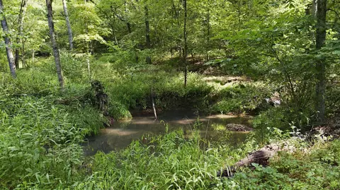 Other - 24709 Wolfe Rd, Washburn, MO 65772 photo 10 of 14
