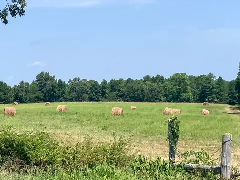 Other - 5829 County Road 464, Birch Tree, MO 65438 photo 1 of 13