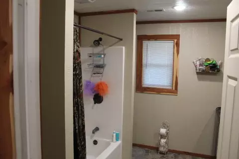 Bath - 164 Hickory Dr, Gainesville, MO 65655 photo 1 of 2