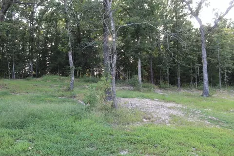 Exterior - 164 Hickory Dr, Gainesville, MO 65655 photo 3 of 3