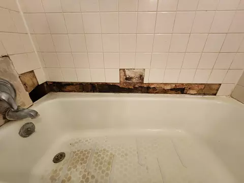 Bath - 503 Cedar Ridge Rd, Strafford, MO 65757 photo 4 of 6
