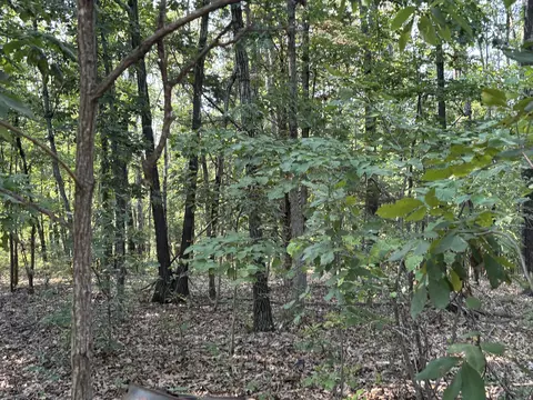 35377 County Road W-264, Vanzant, MO 65768