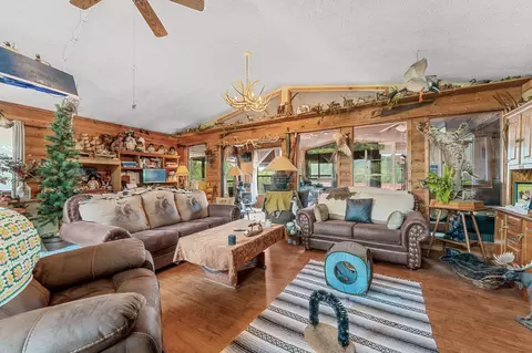 Living - 29121 Station Ln, Eagle Rock, MO 65641 photo 4 of 5