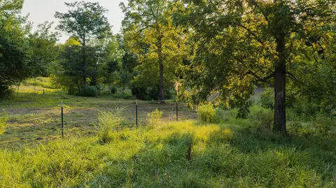 Other - 643 Route Ff, Everton, MO 65646 photo 20 of 21