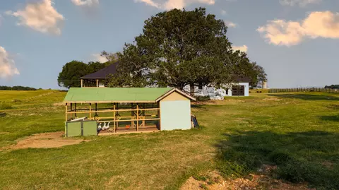 Exterior - 643 Route Ff, Everton, MO 65646 photo 16 of 18
