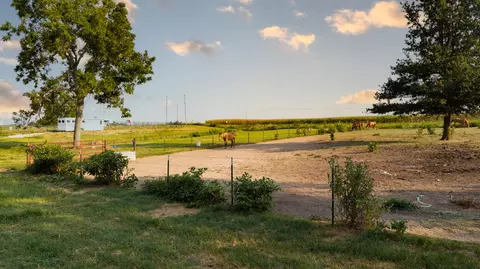 Exterior - 643 Route Ff, Everton, MO 65646 photo 17 of 18