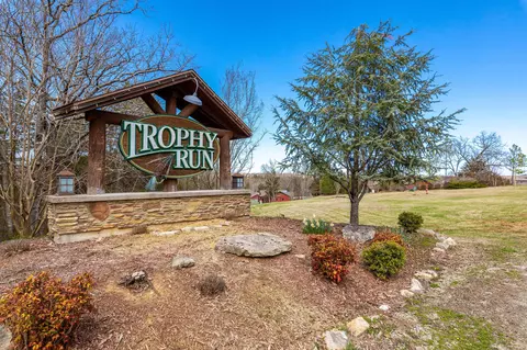 Exterior - 180 Lookout Flts, Branson, MO 65616 photo 7 of 8
