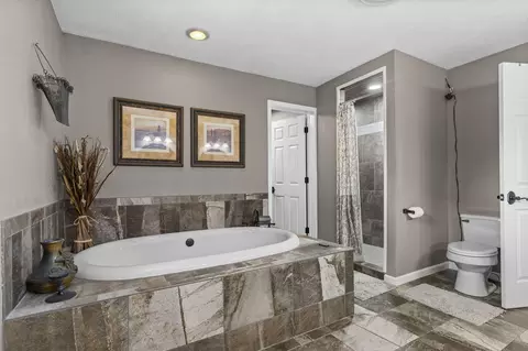 Bath - 134 Meadowbrook, Walnut Shade, MO 65771 photo 3 of 11