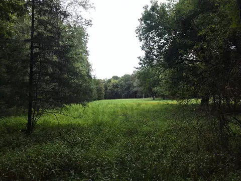 Other - 3207 S 205th Rd, Goodson, MO 65663 photo 4 of 6