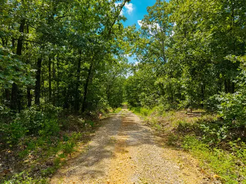 000 Berry Rd #W 21, Cabool, MO 65689 photo 8