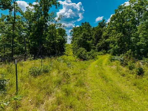 000 Berry Rd #W 21, Cabool, MO 65689 photo 15