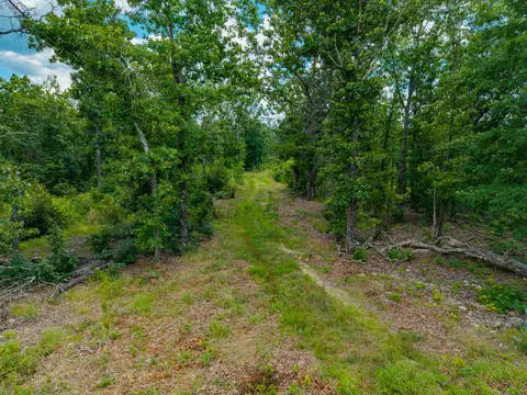 000 Berry Rd #S 20, Cabool, MO 65689 photo 15