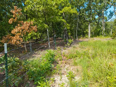 000 Berry Rd #S 20, Cabool, MO 65689 photo 14
