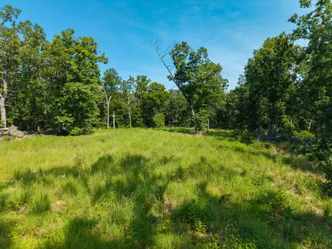 000 Berry Rd #S 20, Cabool, MO 65689 photo 10