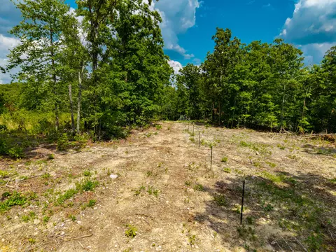 000 Berry Rd #N 20, Cabool, MO 65689 photo 22