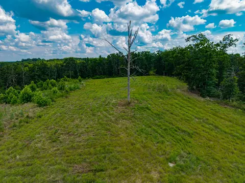 000 Berry Rd #N 20, Cabool, MO 65689 photo 16