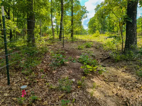 000 Berry Rd #N 20, Cabool, MO 65689 photo 24
