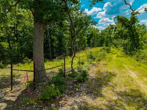 000 Berry Rd #N 20, Cabool, MO 65689 photo 25
