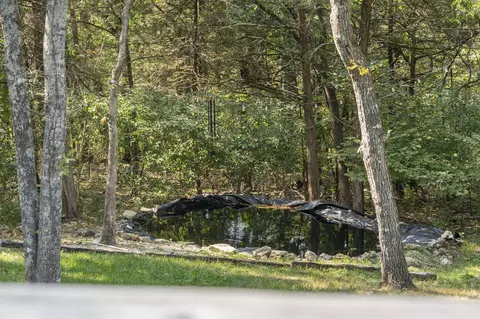 Other - 535 Taneycomo Rd, Branson, MO 65616 photo 3 of 12