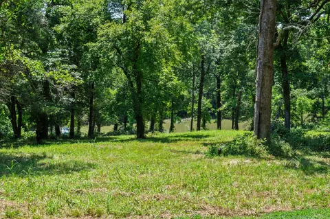 View/Area - 980 W Rivendale Dr, Springfield, MO 65810 photo 5 of 14