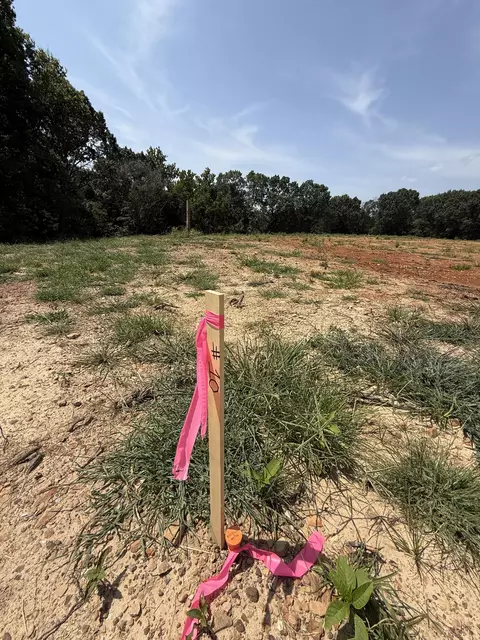 lot10 Little St, Seligman, MO 65745