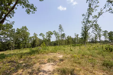 000 County Road 425, Ava, MO 65608 photo 18