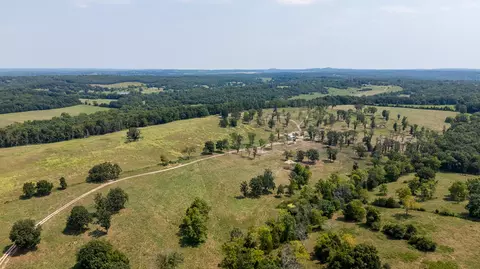 000 County Road 425, Ava, MO 65608 photo 37