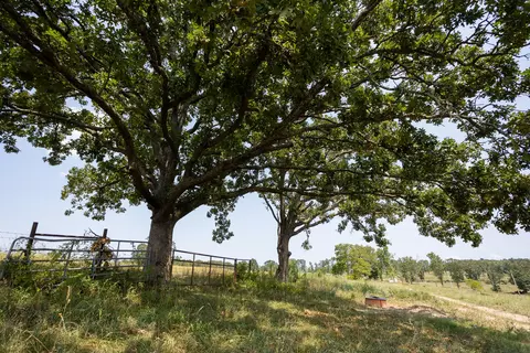 000 County Road 425, Ava, MO 65608 photo 5