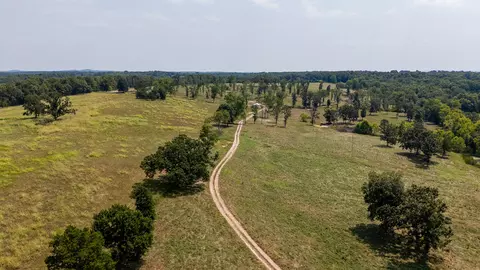 000 County Road 425, Ava, MO 65608 photo 39