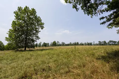 000 County Road 425, Ava, MO 65608 photo 21