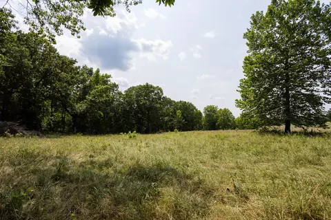 000 County Road 425, Ava, MO 65608 photo 22