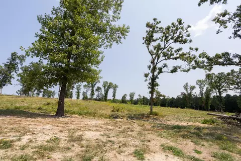 000 County Road 425, Ava, MO 65608 photo 15