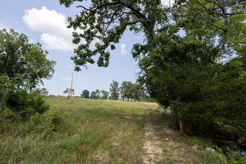 000 County Road 425, Ava, MO 65608 photo 35