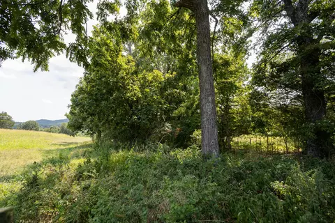 000 County Road 425, Ava, MO 65608 photo 30