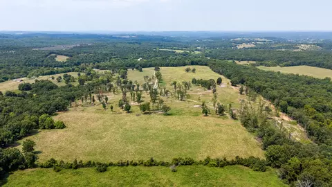 000 County Road 425, Ava, MO 65608 photo 46