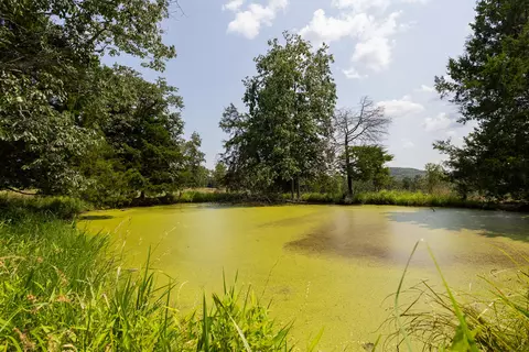 000 County Road 425, Ava, MO 65608 photo 26